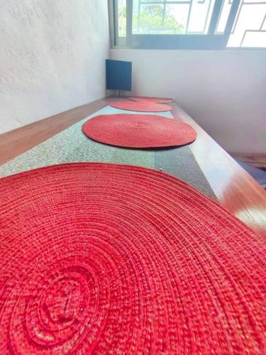 Casa Olivo, tranquilidad y descanso. in Mérida, Mexico