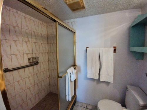 Two-Bedroom Apartment image 10