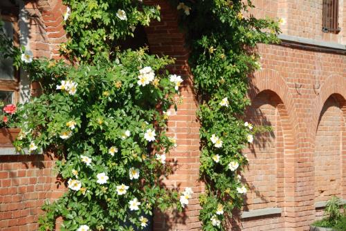 Tenuta Montanello B&B – Castiglione Falletto, NY