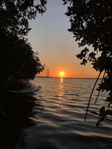 Castaway Cove - image 3