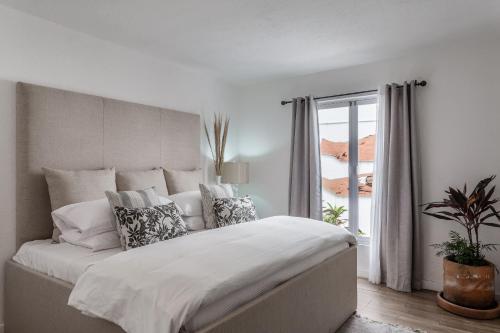 Casa Zacateros 4BR Home with Heated Pool & Luxury Accommodations in Centro in San Miguel de Allende, Mexico