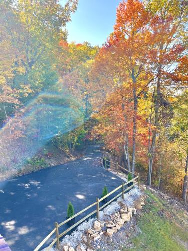 Lazy Bear Lodge cabin
