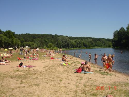 Park Villa - image 8
