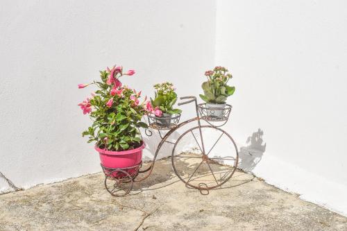 Two-Bedroom Apartment image 9