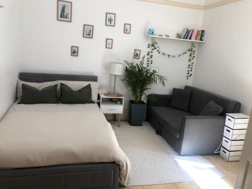 Large room near the Leicester University & City center