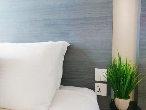 Superior Twin Room image 2