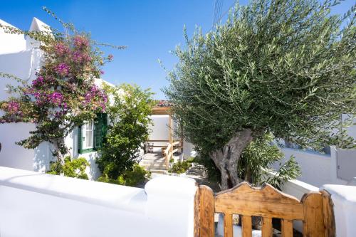  Charming House Platy Gialos in Platis Gialos