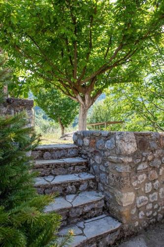 Taygeti's mountain lodge