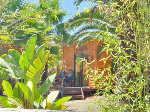 The Farmhouse Palm Tree Cabin