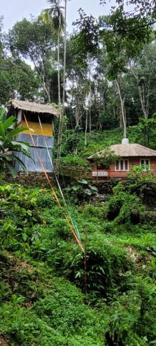 Mamalakandam Tree house