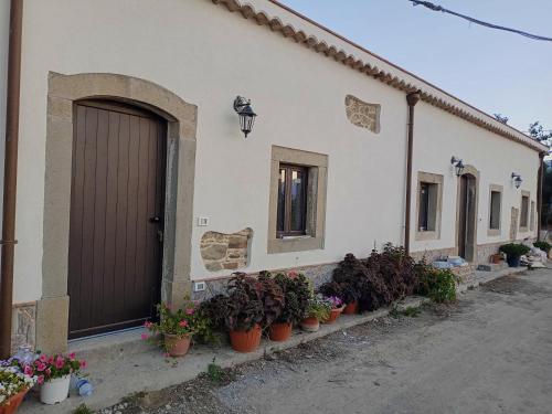 2 bedrooms appartement with enclosed garden at Mongiove 1 km away from the beach