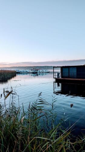 Waterview - Schwimmendes Ferienhaus "Black Pearl" auf dem Wasser mit Blick zur Havel, inkl Boot zur Nutzung