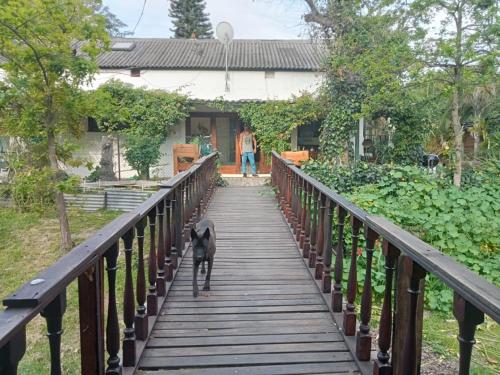 The Farmhouse Palm Tree Cabin