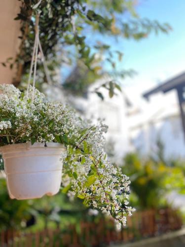 Summer Stay Dalat - 편의 시설/서비스