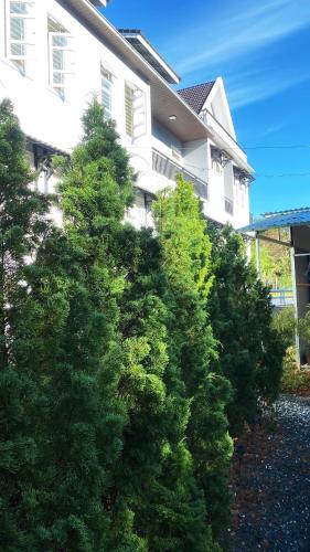 Summer Stay Dalat - 정원