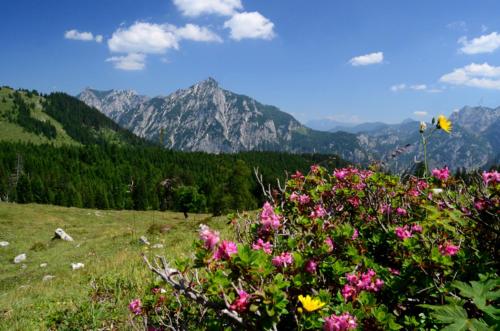 Alpenapartments Unterschlag - image 3