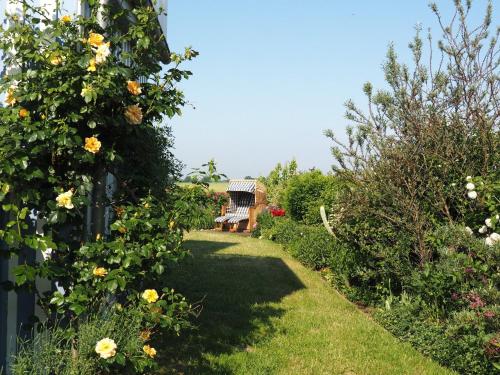 Ferienhaus Am Felde