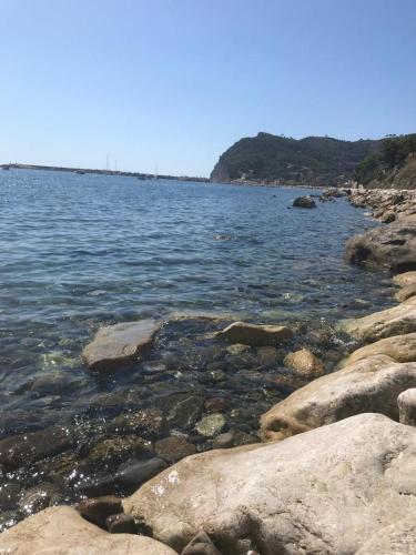  La Chiave di Violino in Olbia