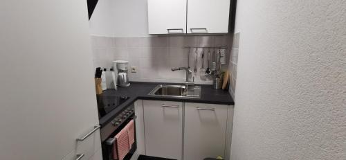 BodenSEE Apartment Friedrichshafen Rotkehlchen 27 - image 4