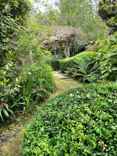 Mountain Villa in Dandenong Ranges