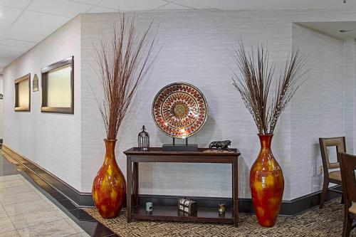 Wingate by Wyndham Macon I-75 in 梅肯市中心