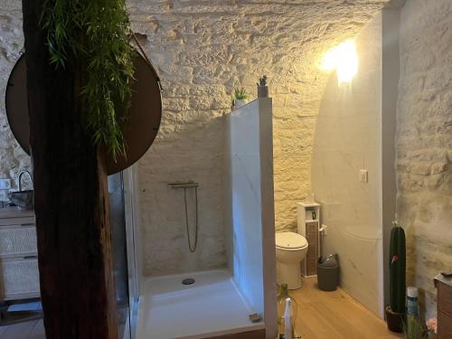 Voute des anges type loft sans cloison in 卡斯泰爾諾蒙特拉蒂耶