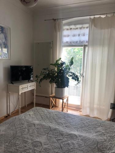 Lioba Drescher Hendel in Treptow