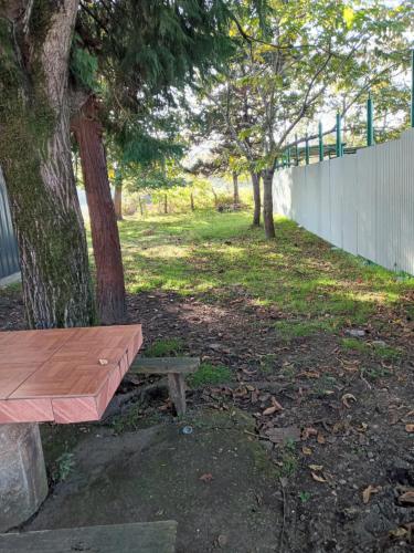 Надежда in 科布列季