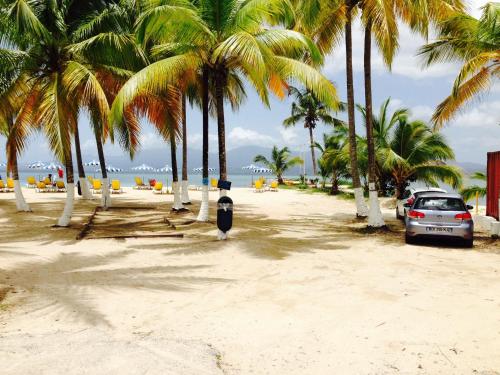 Apartement Plage Guadeloupe In Le Gosier Guadeloupe Reviews Prices Planet Of Hotels Apartement Plage Guadeloupe In Le Gosier Guadeloupe Reviews Prices Planet Of Hotels