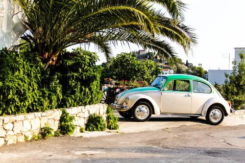 Lola's Apartments - image 2