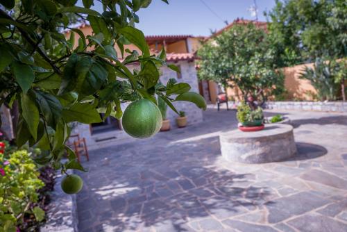 VILLA - APA, Gythio (foto 5)