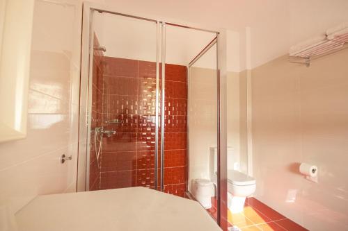 Anixi Hotel - image 12