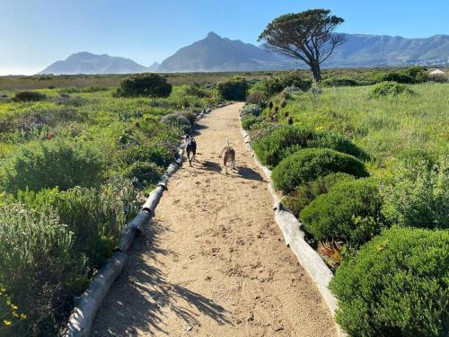 Peak Paradise at Kommetjie