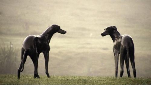 Pension Landart - image 7