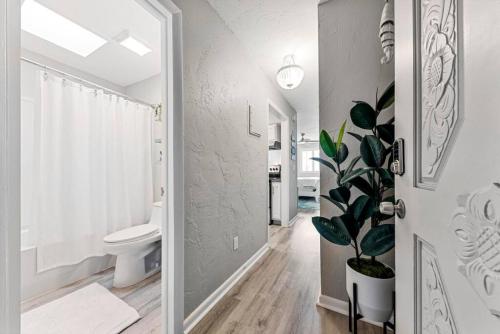 SeaHorse Retreat Walk Everywhere Cozy Stylish