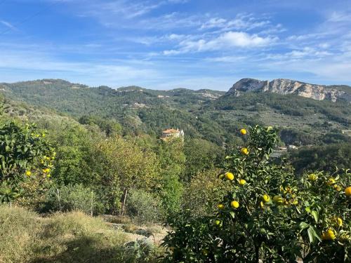  Sopra il Santuario in Orco Feglino