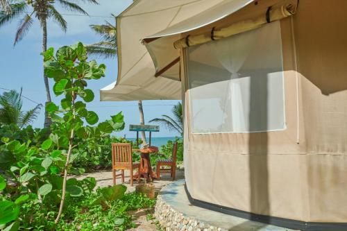 Viesnīcas āriene, Playa Los Angeles in Parque Tayrona