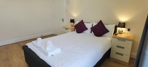 플리머스 Comfy 2 bedroom Apt in central location, Newly Refurbished 3성급 싱글룸 스위트룸