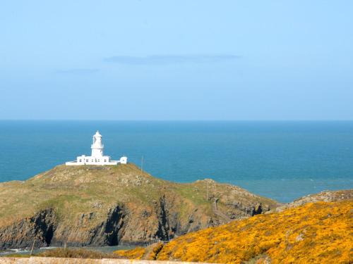 Lighthouse Watch