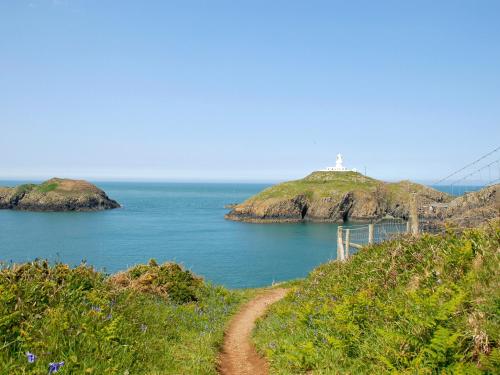 Lighthouse Watch