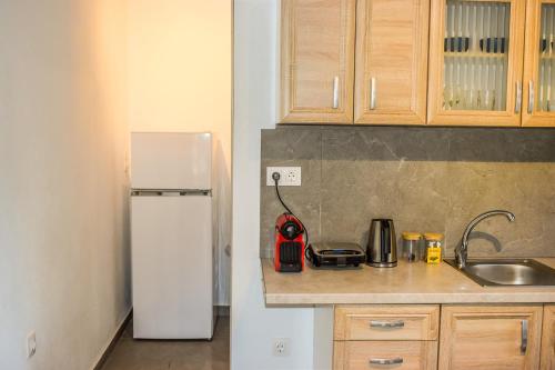 One-Bedroom Apartment image 4