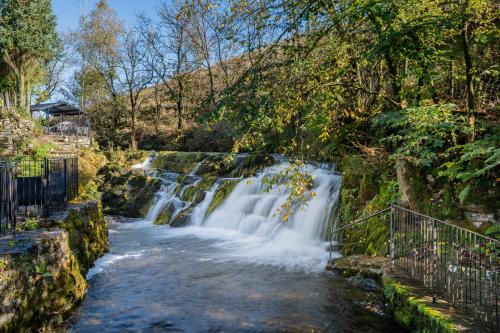 The Waterfall Retreat