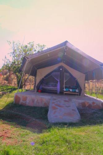 Leruk Maasai Mara Camp in นาร็อค