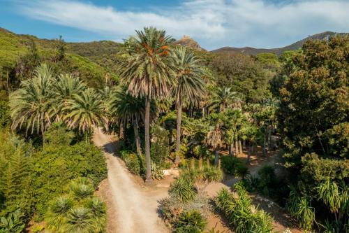 Camping Village Rosselba Le Palme