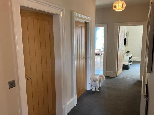 The Old Post Office Double Room (town centre) in Carnoustie
