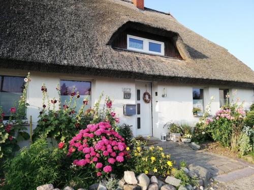 Wohnung am Wanderweg zum Königsstuhl unter Reet