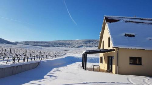 Superbe Maison Jacuzzi+Piscine au cœur des vignes