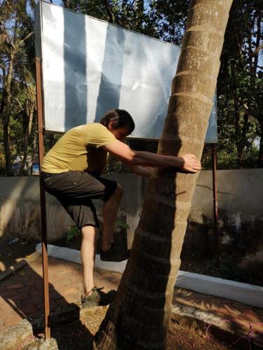 The Peace Hostel - Arambol, Goa