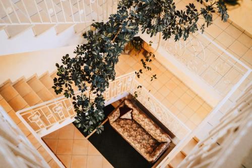 克朗库勒斯酒店 克朗库勒斯酒店