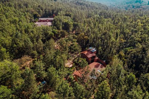 Sereno Barn Eco Stay Chikmagalur - image 4